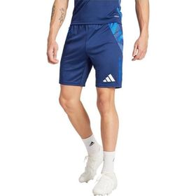 Adidas IR5485 Tiro24 C TR SHO Mavi Erkek Futbol Antrenman Şortu