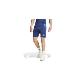 Adidas IR5485 Tiro24 C TR SHO Mavi Erkek Futbol Antrenman Şortu