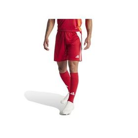 Adidas IR9379 Tiro24 SHO Kırmızı Erkek Futbol Şortu