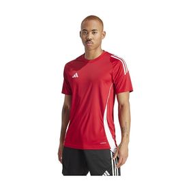 Adidas IS1016 Tiro24 Jsy Kırmızı Futbol Antrenman Erkek T-shirt