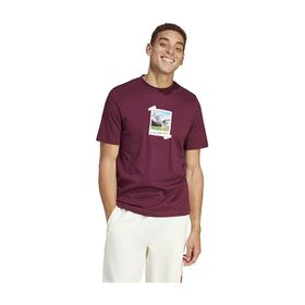 Adidas IS9045 M All Day I Tee Kırmızı Günlük Erkek T-shirt