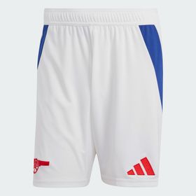 Adidas IT6139 Arsenal 24/25 İç Saha Erkek Şortu