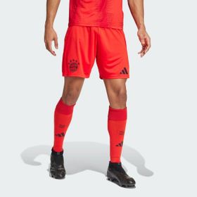 Adidas IT8513 FC Bayern 24/25 İç Saha Erkek Şortu
