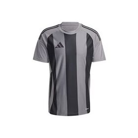 Adidas IW2145 Striped 24 JSY Gri Erkek Futbol Forması
