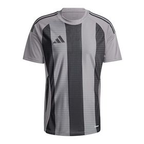 Adidas IW2145 Striped 24 JSY Gri Erkek Futbol Forması