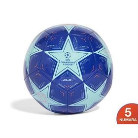 Adidas IX4066 Şampiyonlar Ligi 24/25 Mavi Unisex Futbol Topu
