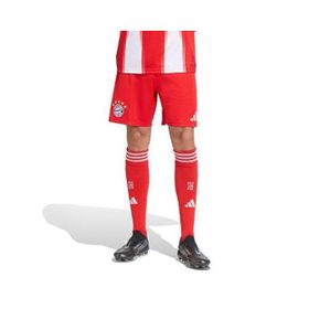 Adidas JJ2133 FC Bayern 25/26 İç Saha Erkek Şortu