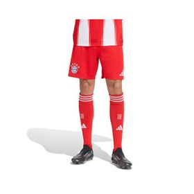 Adidas JJ2133 FC Bayern 25/26 İç Saha Erkek Şortu