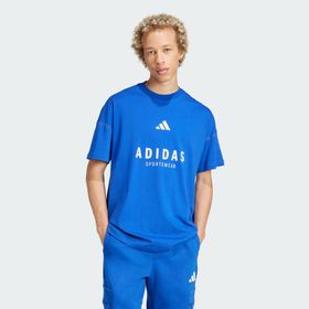 Adidas JJ3661 ALL SZN Graphic Mavi Erkek T-Shirt