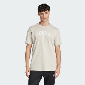 Adidas JJ3870 Codes Collegiate Linear Graphic Bej Erkek T-Shirt