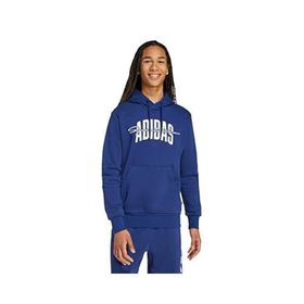Adidas JM6428 Collegiate Script Graphic Erkek Kapüşonlu Üst
