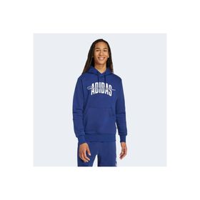 Adidas JM6428 Collegiate Script Graphic Erkek Kapüşonlu Üst