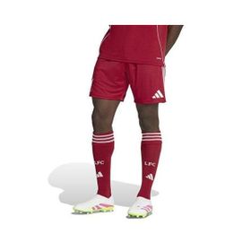 Adidas JV6425 Kırmızı Liverpool FC 2025/26 İç Saha Erkek Futbol Şort