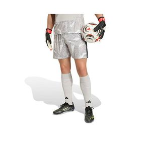 Adidas KC5350 Gri T26 C Gk Sho M Erkek Kaleci Şortu