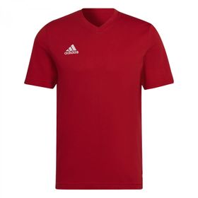 Adidas Parma22 Tee Tepore Erkek T-shirt