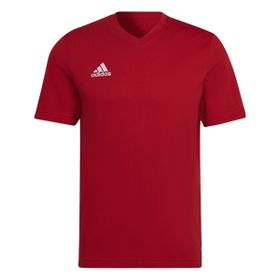Adidas Parma22 Tee Tepore Erkek T-shirt
