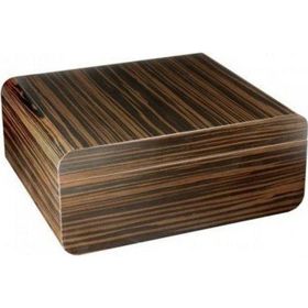 Adorini Novara M Humidor Puro Kutusu