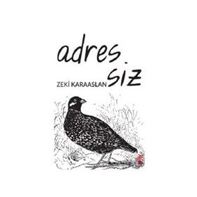 Adressiz - Zeki Karaaslan