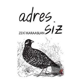 Adressiz - Zeki Karaaslan