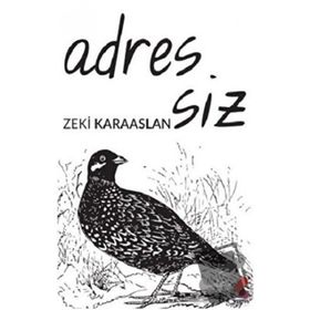 Adressiz - Zeki Karaaslan