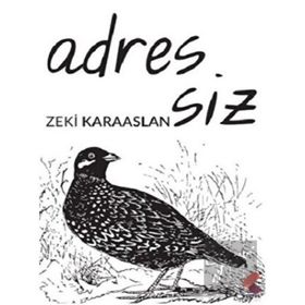 Adressiz - Zeki Karaaslan