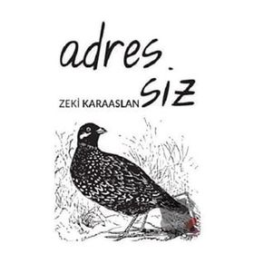 Adressiz - Zeki Karaaslan