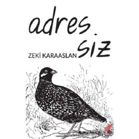 Adressiz - Zeki Karaaslan