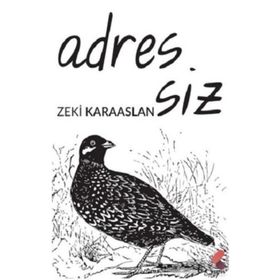 Adressiz - Zeki Karaaslan