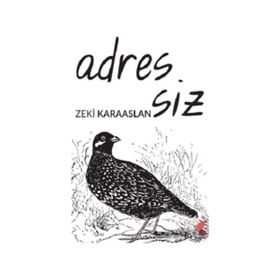 Adressiz - Zeki Karaaslan