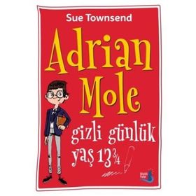 Adrian Mole Gizli Günlük Yaş 13 3/4 - Sue Townsend