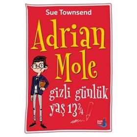Adrian Mole Gizli Günlük Yaş 13 3/4 - Sue Townsend