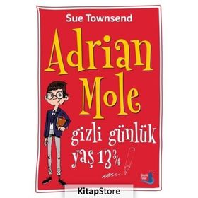 Adrian Mole Gizli Günlük Yaş 13 3/4 - Sue Townsend