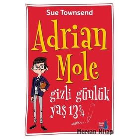 Adrian Mole Gizli Günlük Yaş 13 3/4 - Sue Townsend