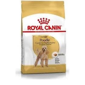 Adult Poodle Küçük Irk 3 kg Yetişkin Köpek Maması