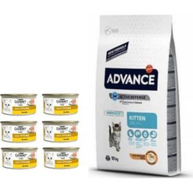 Advance Kitten 1.5 kg Tavuklu Yavru Kedi Maması + Gourmet 85 gr Karışık Konserve