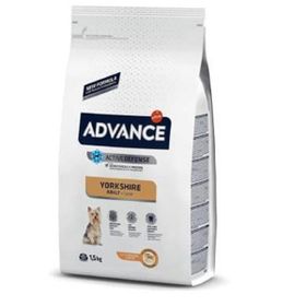 Advance Yorkshire Terrier Adult 1.5 kg Köpek Irk Maması