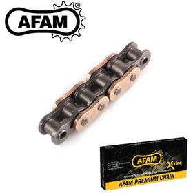 Afam A530XHR2-G Honda CB 900 Hornet 530 x 116 Supersport Gold Zincir