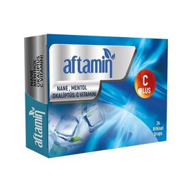 Aftamin Nane Mentol Okaliptuslu 24 Pastil