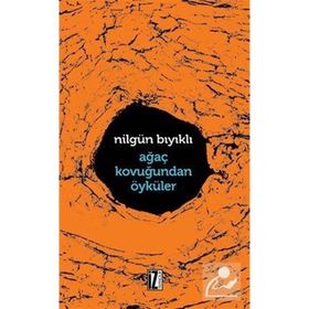 AĞAÇ KOVUĞUNDAN ÖYKÜLER - NILGÜN BIYIKLI