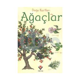AĞAÇLAR - STRUAN REID