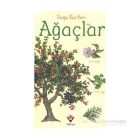 AĞAÇLAR - STRUAN REID