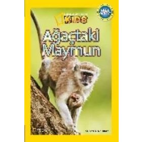 Ağaçtaki Maymun - Susan B. Neuman