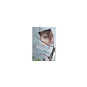 Ağaçtaki - On8 Kitap