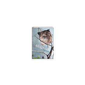 Ağaçtaki - On8 Kitap