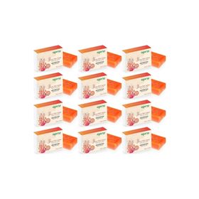 Agarta Yosun Özlü 12x150 gr El Yapımı Doğal Sabun