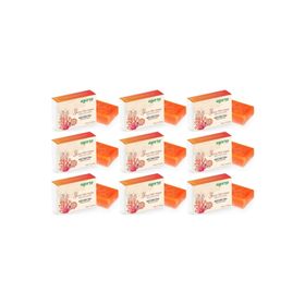 Agarta Yosun Özlü 9x150 gr El Yapımı Doğal Sabun