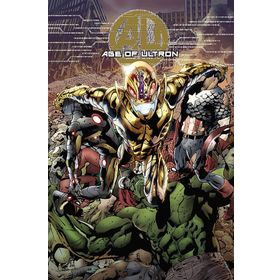 Age of Ultron - brian micheal bendis Brandon Peterson