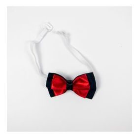 Ages Angels Kırmızı Erkek Çocuk Papyon