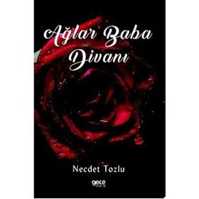 Ağlar Baba Divanı - Necdet Tozlu
