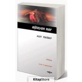 AĞLAYAN NAR - ALEV TEKINAY